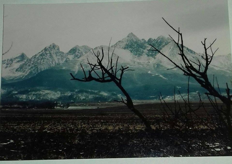 Apart-Bungalovy Gitka Mlynceky エクステリア 写真